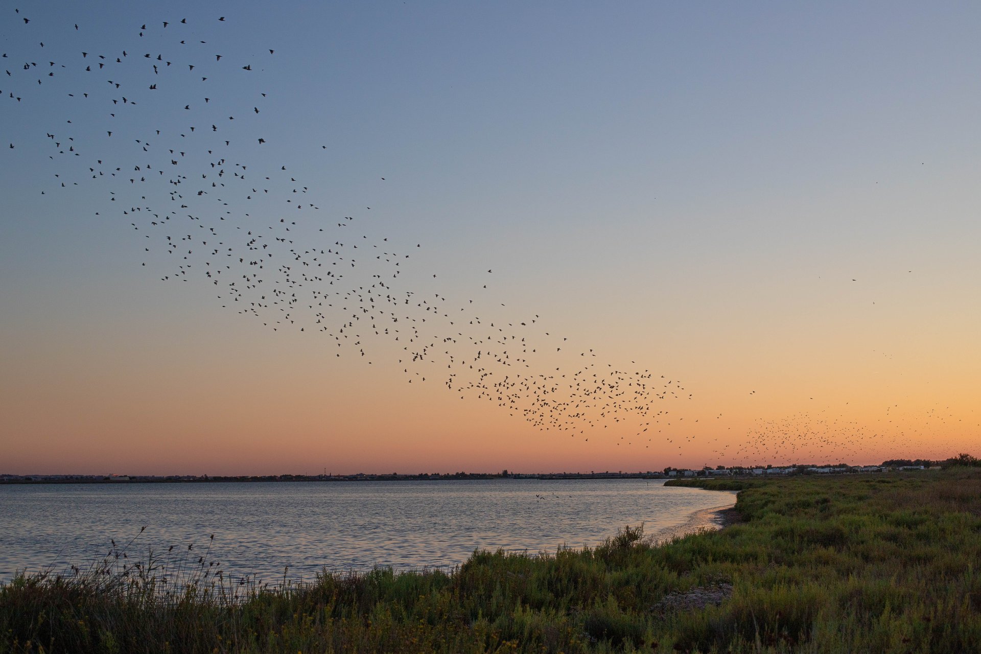 Nature — Noyan Ramilée